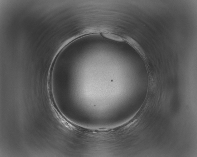 X0000054361052200508011215