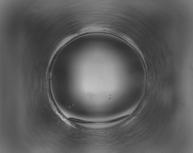 X0000054361053200508011215