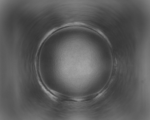 X0000054361054200508011215