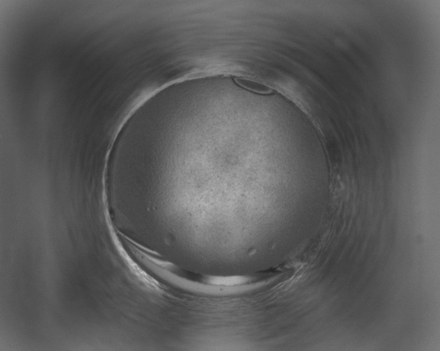 X0000054361055200508011215
