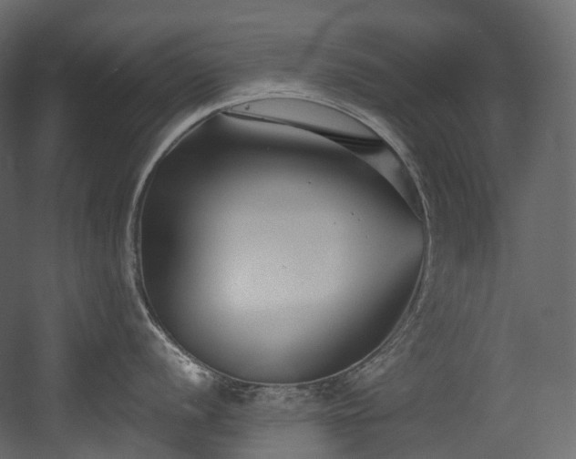 X0000054361056200508011215