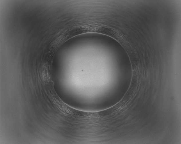 X0000054361058200508011214