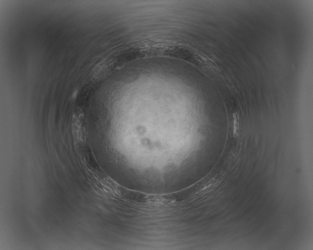 X0000054361059200508011214