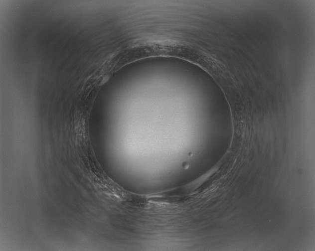 X0000054361061200508011214