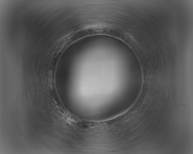 X0000054361062200508011214