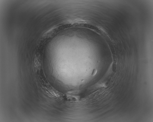 X0000054361063200508011214