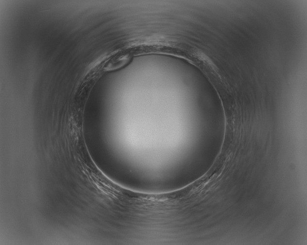 X0000054361064200508011214