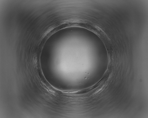 X0000054361065200508011214