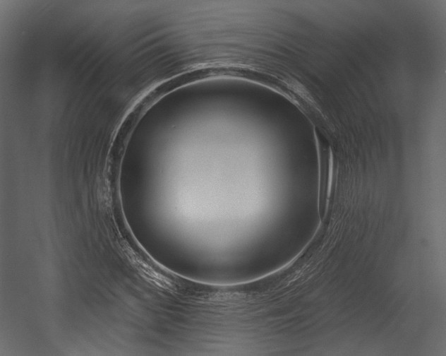 X0000054361068200508011214
