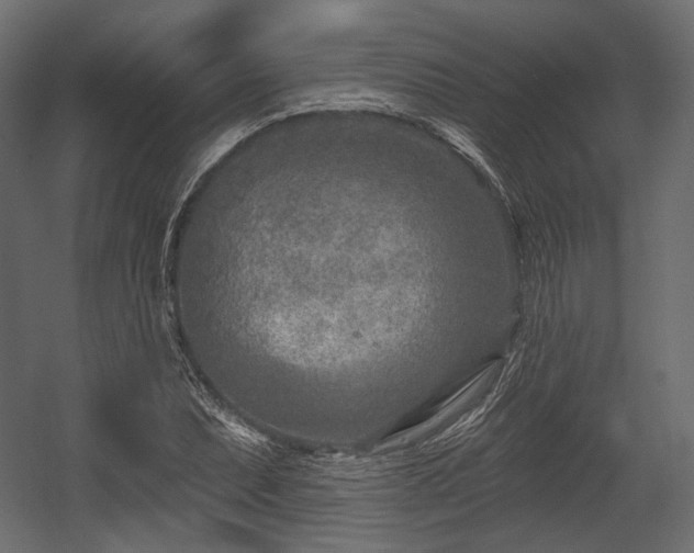 X0000054361071200508011214