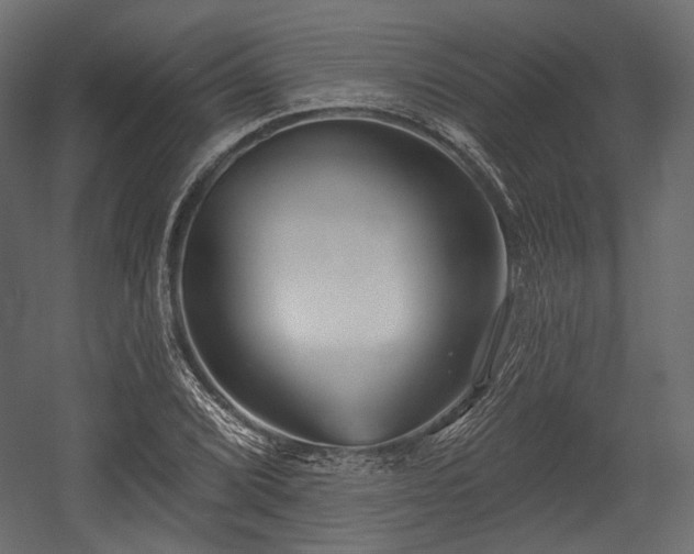 X0000054361072200508011214