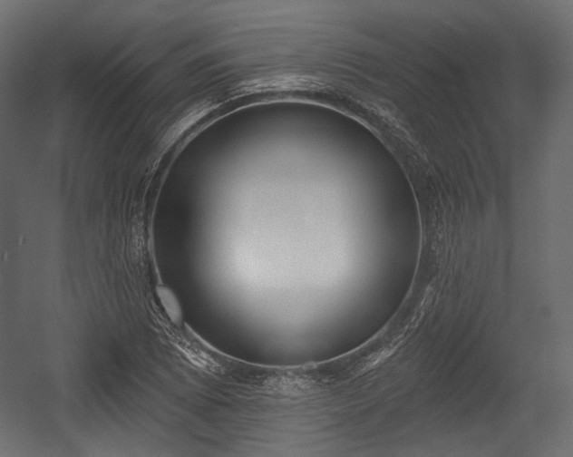 X0000054361073200508011214