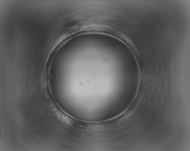 X0000054361075200508011214