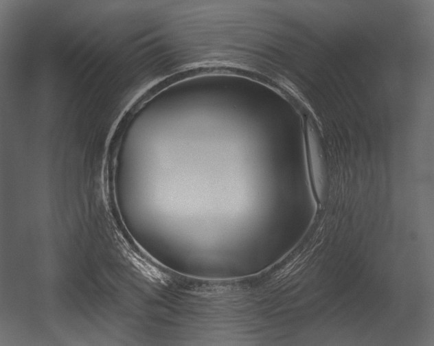 X0000054361076200508011214