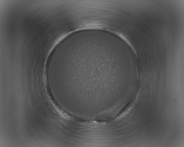 X0000054361077200508011214