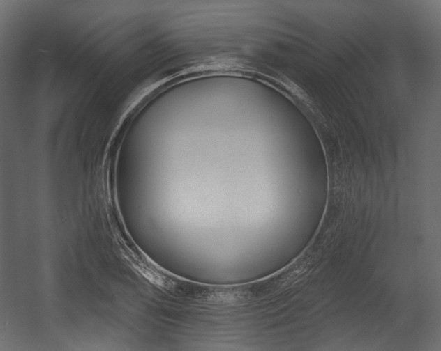 X0000054361078200508011214