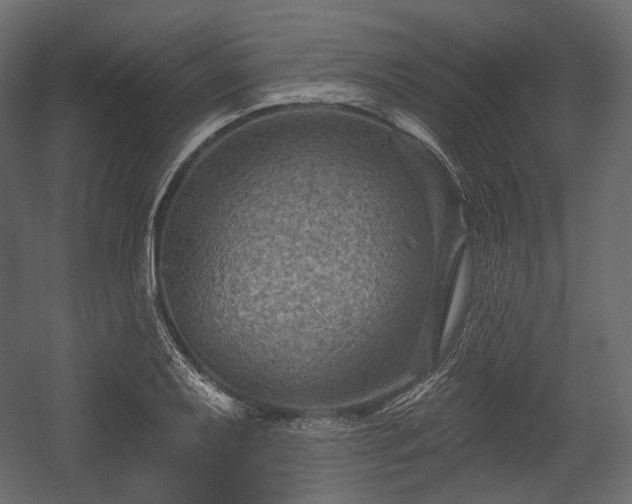 X0000054361079200508011214