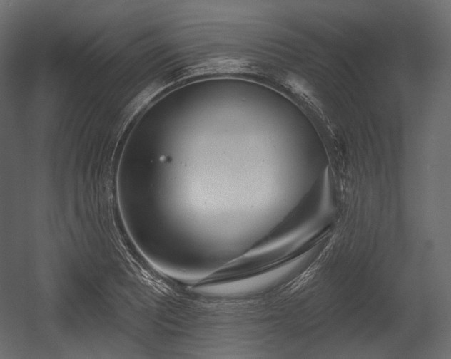 X0000054361081200508011214