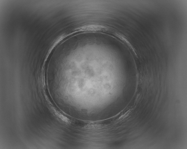 X0000054361083200508011214