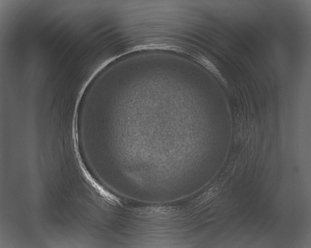 X0000054361084200508011214