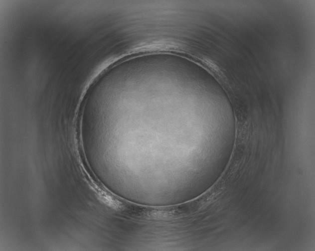 X0000054361086200508011214