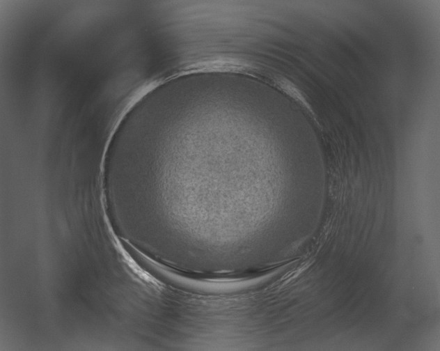 X0000054361087200508011214