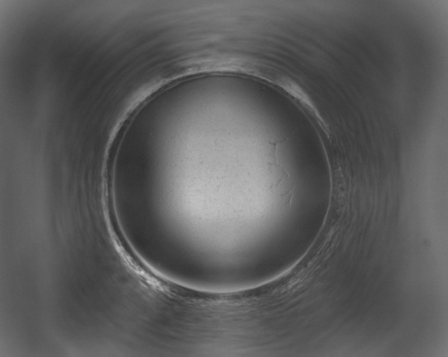 X0000054361088200508011214