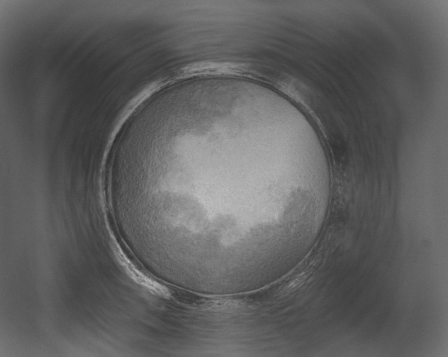 X0000054361090200508011214