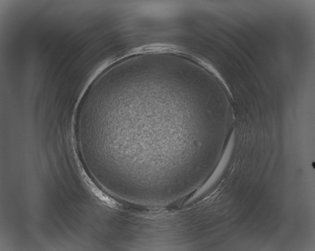 X0000054361091200508011214