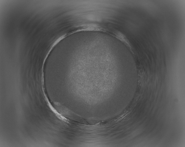 X0000054361095200508011214