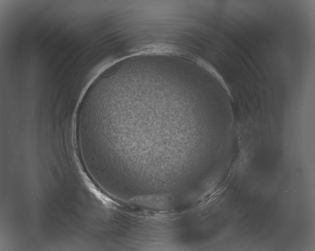 X0000054361099200508011214