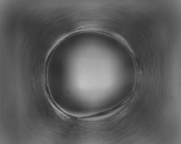 X0000054361101200508011214