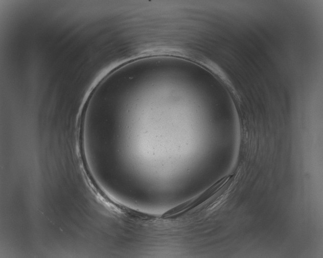 X0000054361102200508011214
