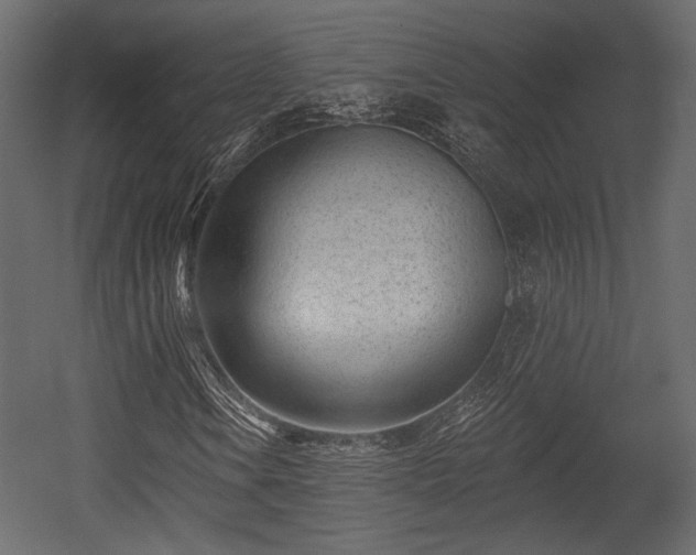 X0000054361106200508011213