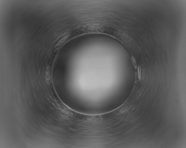 X0000054361107200508011213