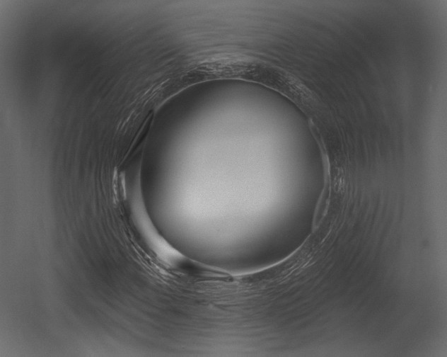 X0000054361108200508011213