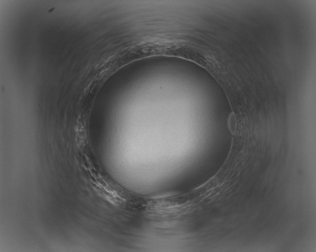 X0000054361109200508011213