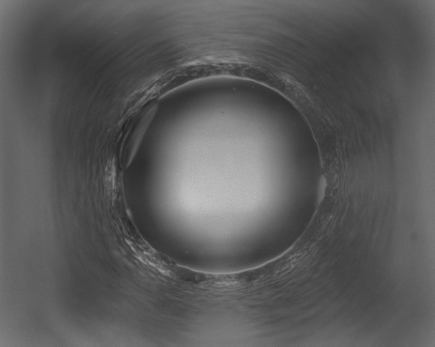 X0000054361110200508011213