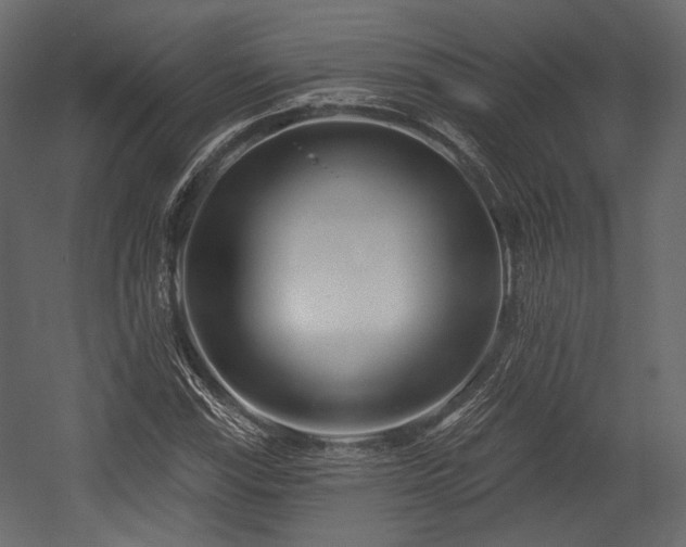 X0000054361115200508011213