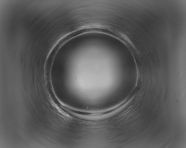 X0000054361116200508011213