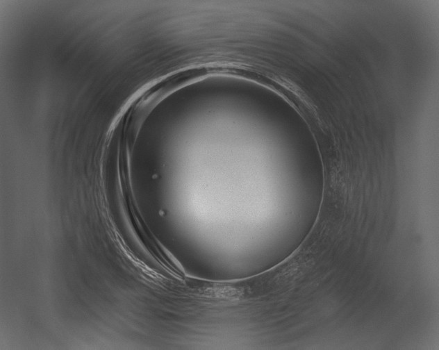 X0000054361120200508011213