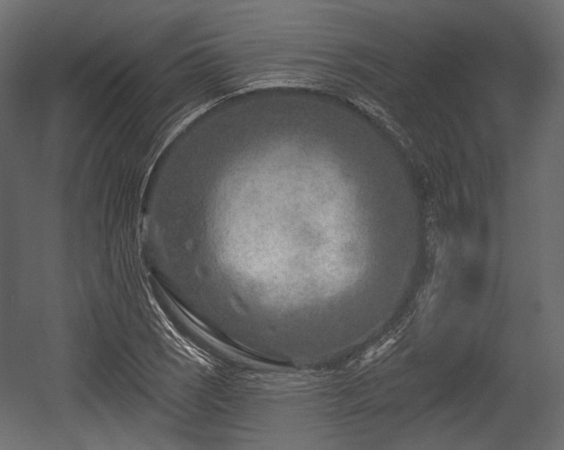 X0000054361121200508011213