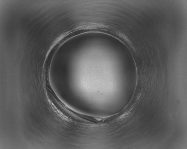 X0000054361122200508011213