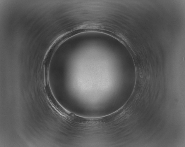 X0000054361123200508011213