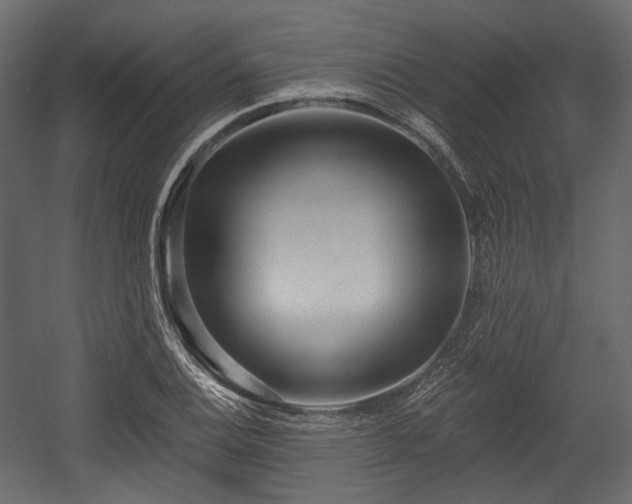 X0000054361124200508011213