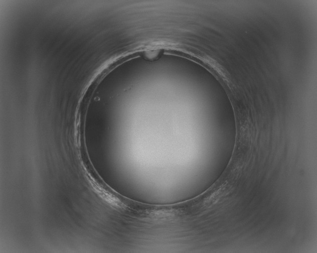 X0000054361126200508011213
