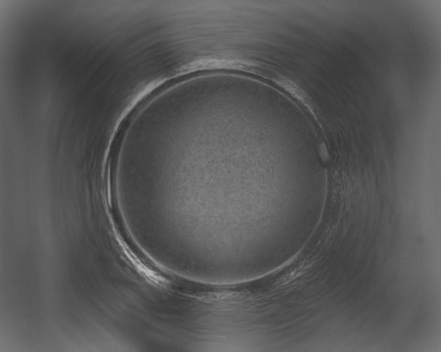 X0000054361127200508011213
