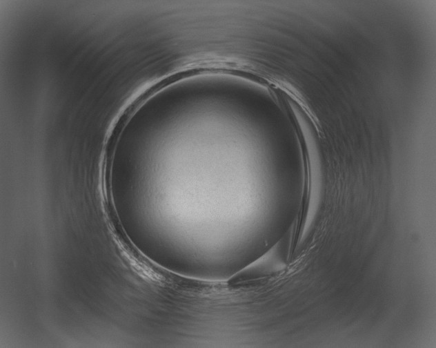 X0000054361128200508011213