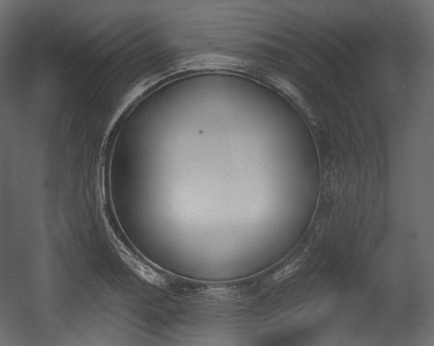 X0000054361130200508011213