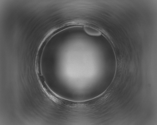 X0000054361131200508011213